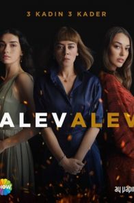 Яркое пламя / Alev Alev (2020) смотреть турецкий сериал все серии на русском языке