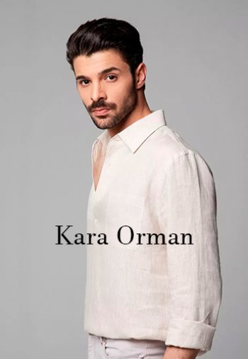 Черный лес / Kara Orman турецкий сериал на русском языке все серии бесплатно смотреть